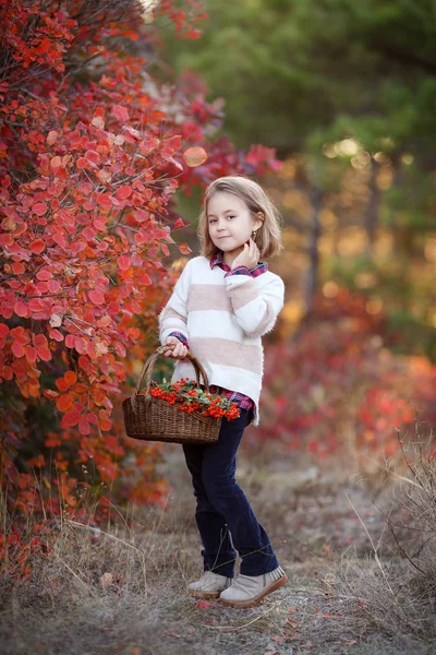 Girl Autumn Park Basket Flowers Good Mood Happy Child Perfect — Stock Photo, Image