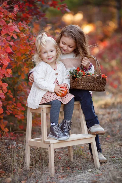 Dos Hermanas Jóvenes Lindas Divirtiéndose Hermoso Día Otoño Niños Felices —  Fotos de Stock