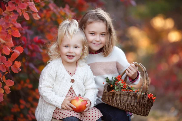 Two Cute Young Sisters Having Fun Beautiful Autumn Day Happy — Stock Photo, Image