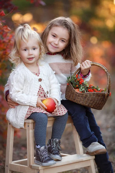 Dos Hermanas Jóvenes Lindas Divirtiéndose Hermoso Día Otoño Niños Felices —  Fotos de Stock
