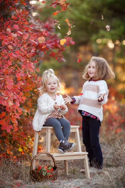 Twee Schattige Zusjes Die Plezier Hebben Een Mooie Herfstdag Gelukkige — Stockfoto