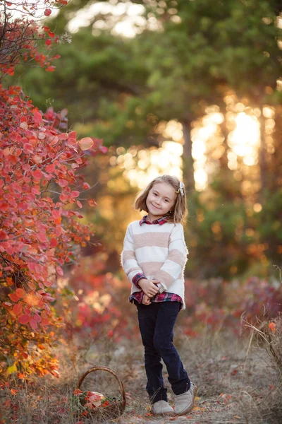Κορίτσι Στο Πάρκο Φθινόπωρο Ένα Καλάθι Λουλούδια Καλή Διάθεση Ευτυχισμένο — Φωτογραφία Αρχείου