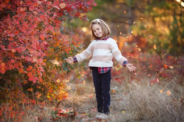 Dziewczyna Jesiennym Parku Koszem Kwiatów Dobry Nastrój Szczęśliwe Dziecko Moja — Zdjęcie stockowe