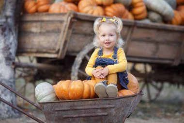 Balkabağı tarlasından balkabağı toplayan bir çocuk. Küçük kız çiftlik pazarında squash oynuyor. Şükran Günü ve Cadılar Bayramı 'nda aile zamanı. Küçük kız sonbaharda balkabağı çiftliği turunda eğleniyor. Çocuk en büyük balkabağının üzerinde oturuyor.