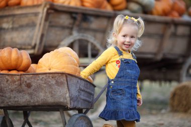 Balkabağı tarlasından balkabağı toplayan bir çocuk. Küçük kız çiftlik pazarında squash oynuyor. Şükran Günü ve Cadılar Bayramı 'nda aile zamanı. Küçük kız sonbaharda balkabağı çiftliği turunda eğleniyor. Çocuk en büyük balkabağının üzerinde oturuyor.