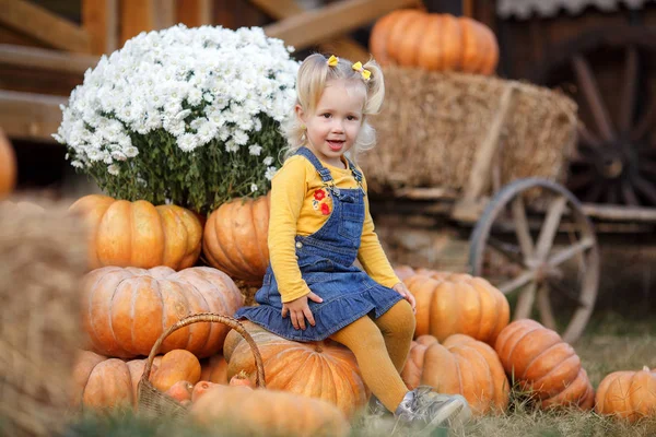 Niño Recogiendo Calabazas Parche Calabaza Pequeña Niña Jugando Squash Mercado — Foto de Stock