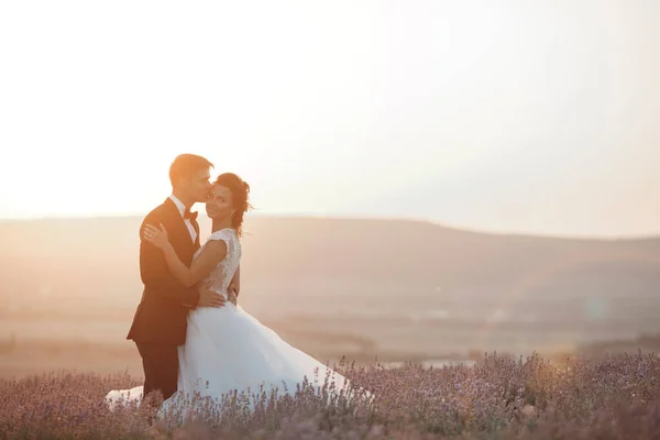 Pareja de boda en un campo de lavanda al atardecer, novia y novio —  Fotos de Stock