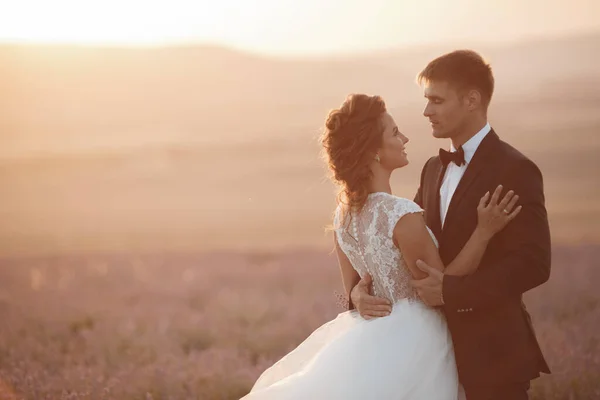 Pareja de boda en un campo de lavanda al atardecer, novia y novio —  Fotos de Stock