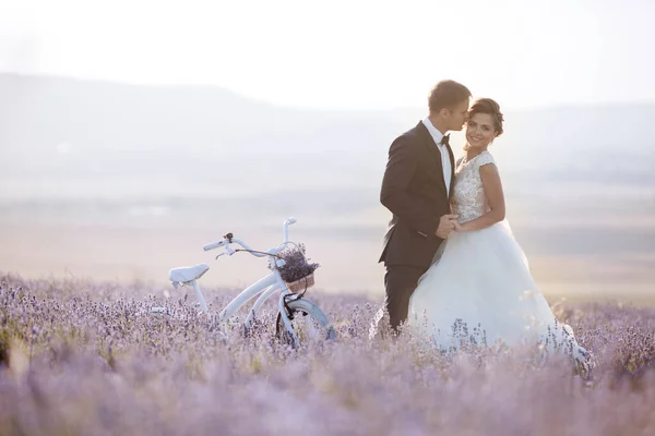 Pareja de boda en un campo de lavanda al atardecer, novia y novio —  Fotos de Stock