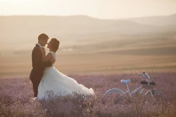 Casal de casamento em um campo de lavanda ao pôr do sol, noiva e noivo — Fotografia de Stock