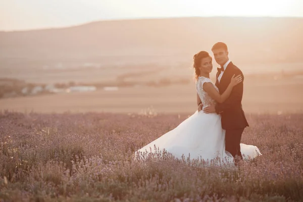 Casal de casamento em um campo de lavanda ao pôr do sol, noiva e noivo — Fotografia de Stock