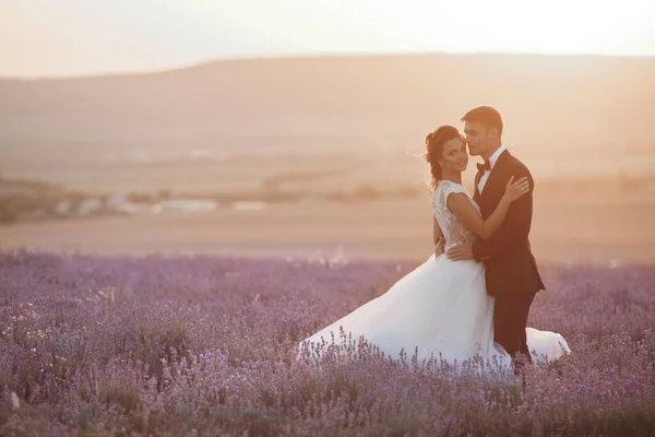 Pareja de boda en un campo de lavanda al atardecer, novia y novio —  Fotos de Stock