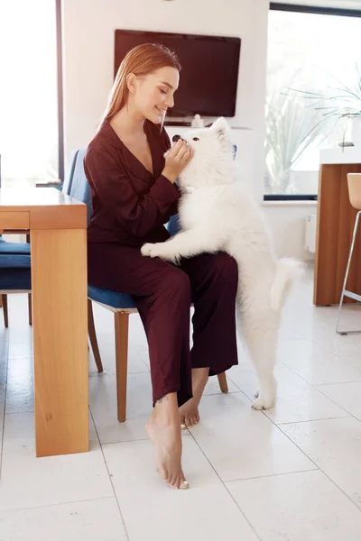 Joven mujer sonriente con perro en casa interior —  Fotos de Stock