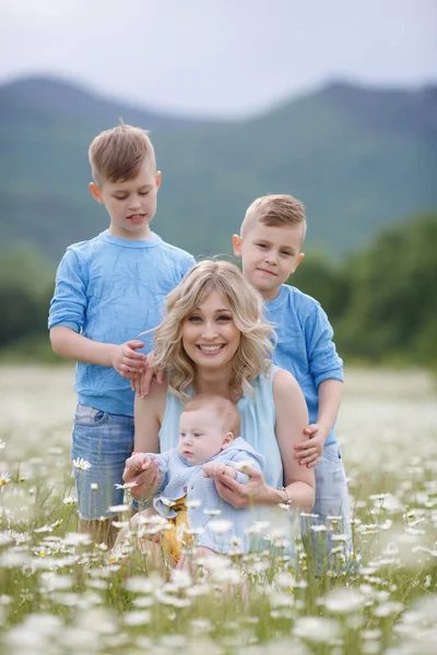 Šťastná rodina na heřmánkovém poli. žena se třemi dětmi chlapci v heřmánku venku — Stock fotografie