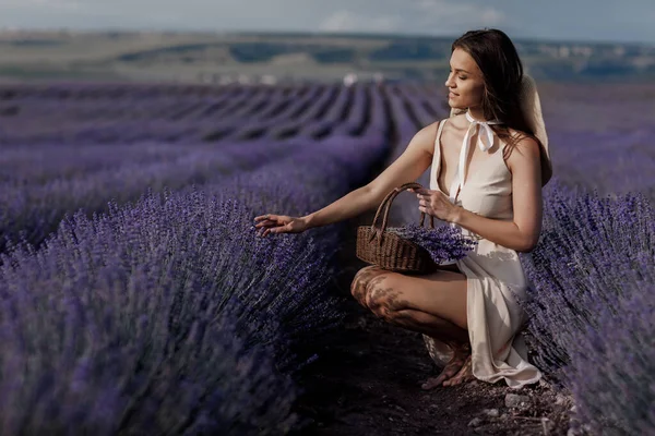 Young beautiful woman sitting in lavender field — Stock Photo, Image