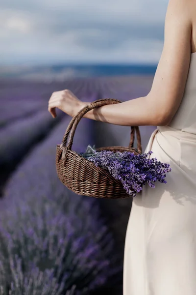 Närbild kvinna hand med lavendel i korg — Stockfoto