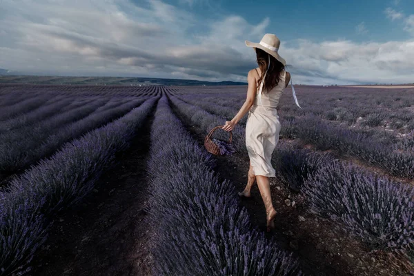 Joven hermosa mujer caminando en lavanda campo vista trasera gran ángulo —  Fotos de Stock