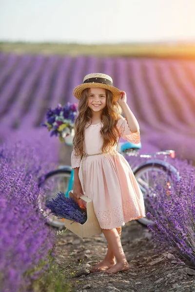 Mooi klein meisje met bloemen en stro hoed plezier hebben in lavendel veld. peuter meisje met fiets. — Stockfoto