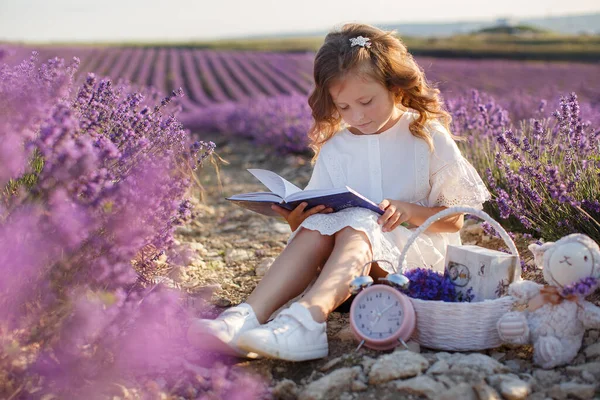 Een mooi meisje in een witte jurk en een hoed die plezier heeft in het bloeiende lavendelveld. portret in bloemen — Stockfoto