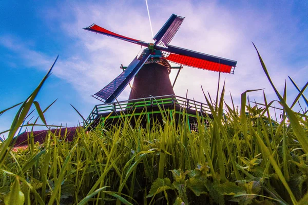 Windmills. Summer at Zaanse Schans. Authentic dutch landscape with old wind mills. Holland, Netherlands — Stock Photo, Image