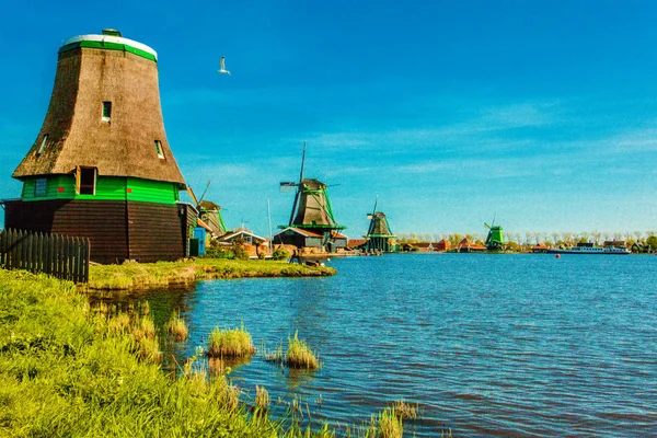 Vindmøller. Sommeren på Zaanse Schans. Autentisk dutch-landskap med gamle vindmøller. Nederland – stockfoto