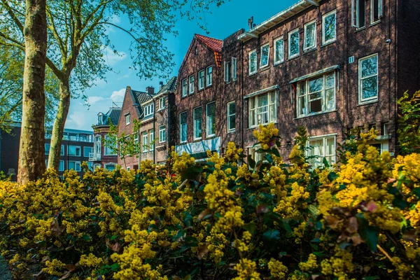 Dordrecht, Nederland - 22 April 2018: Dordrecht straat in de lente zon, Nederland — Stockfoto
