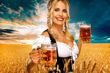 Genç seksi oktoberfest kız garson, geleneksel Bavyera veya Alman dirndl giyen, sarı arka plan izole içki ile büyük bira kupaları hizmet.