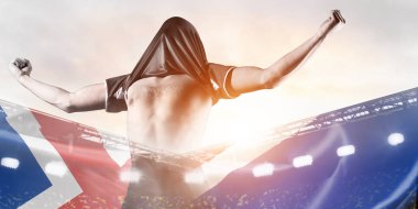 İzlanda gol kutluyor