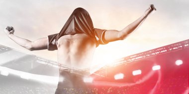 Polonya gol kutluyor