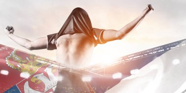 Sırbistan gol kutluyor