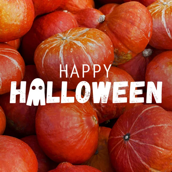 Glad halloween pumpor — Stockfoto