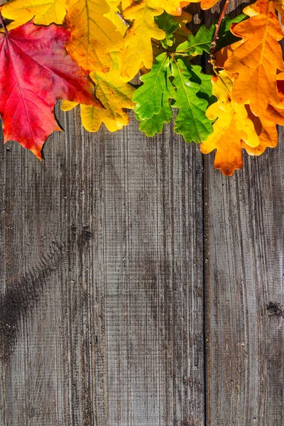 Folhas de outono na mesa — Fotografia de Stock