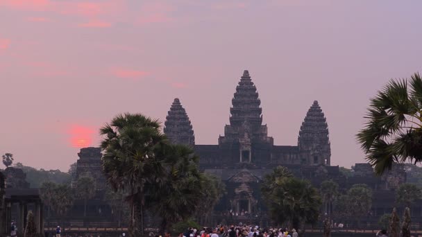 Angkor tempelcomplex — Stockvideo