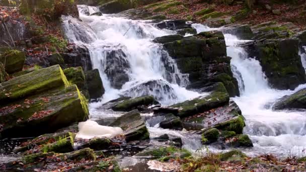 Cascata nella nebbiosa foresta autunnale — Video Stock