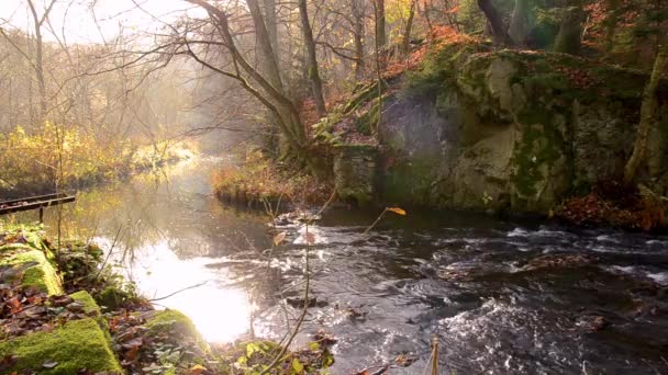 Водопад в туманном осеннем лесу — стоковое видео