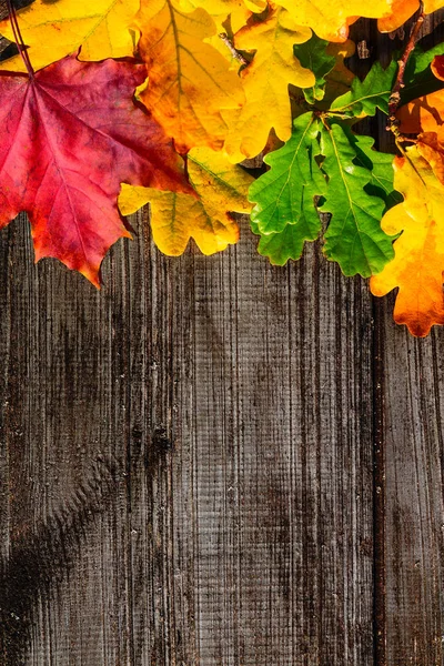 Autumn leaves on table — Stock Photo, Image