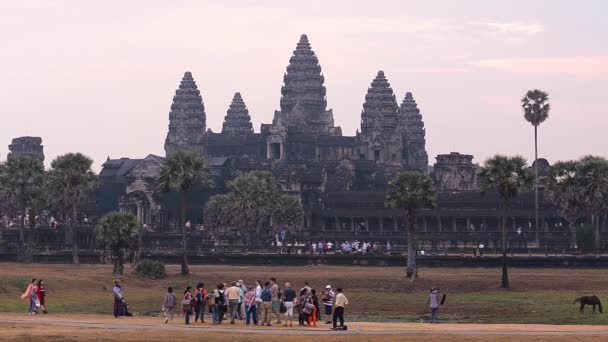 Complejo de templos Angkor — Vídeos de Stock