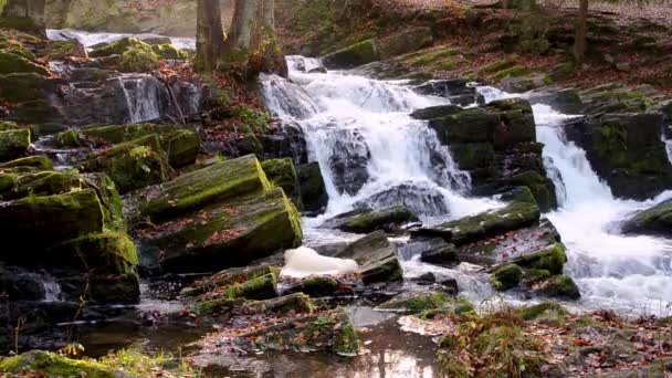 Cachoeira na nebulosa floresta de outono — Vídeo de Stock