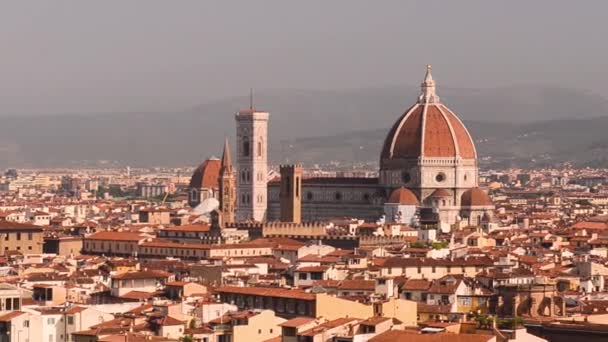 Florence skyline summer sunset view — Stock Video