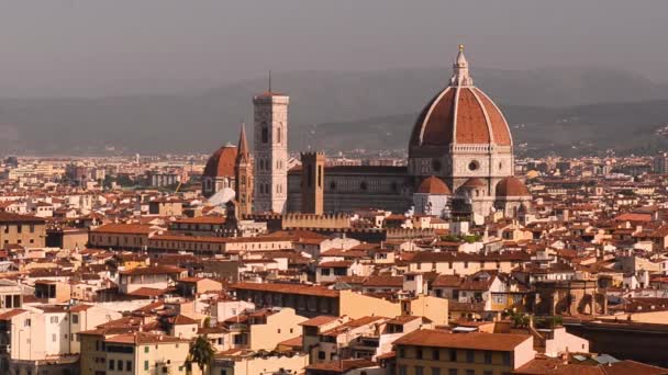 Florença skyline verão pôr do sol vista — Vídeo de Stock