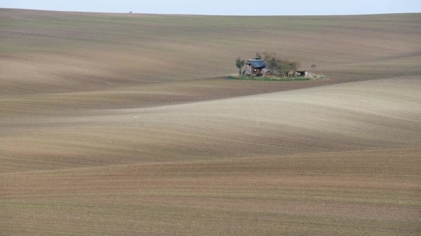 Moravia del Sur otoño campos — Vídeos de Stock