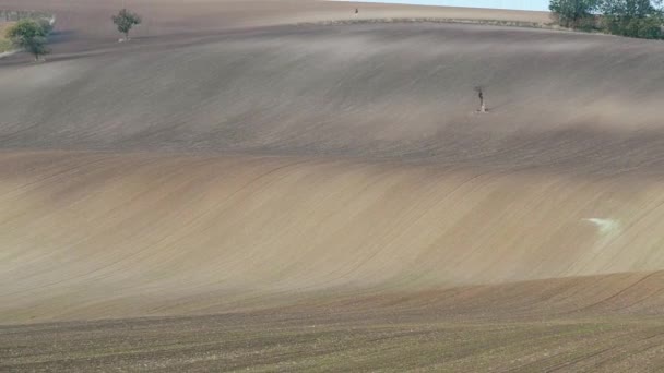 South Moravian herfst velden — Stockvideo