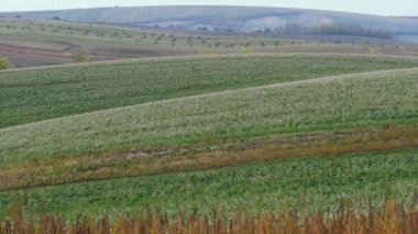 South Moravian sonbahar alanları