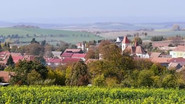 South Moravian autumn fields — Stock Video