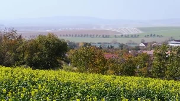 South Moravian autumn fields — Stock Video