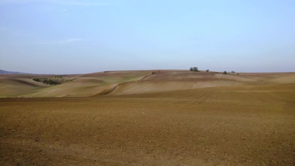 Campos de outono da Morávia do Sul — Vídeo de Stock