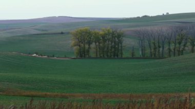 South Moravian sonbahar alanları
