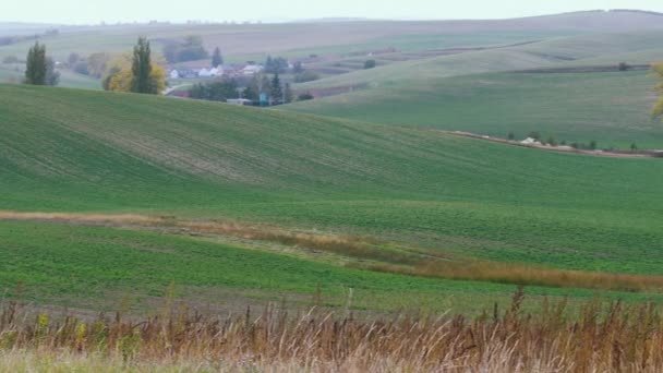 South Moravian herfst velden — Stockvideo