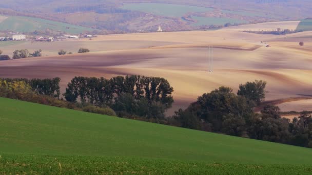 Moravia del Sur otoño campos — Vídeos de Stock