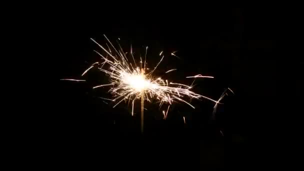 Sparkler op zwart — Stockvideo